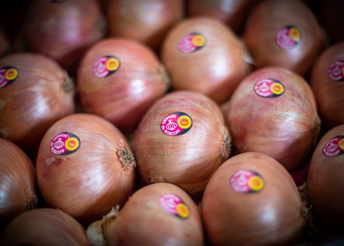 vente oignons Morlaix